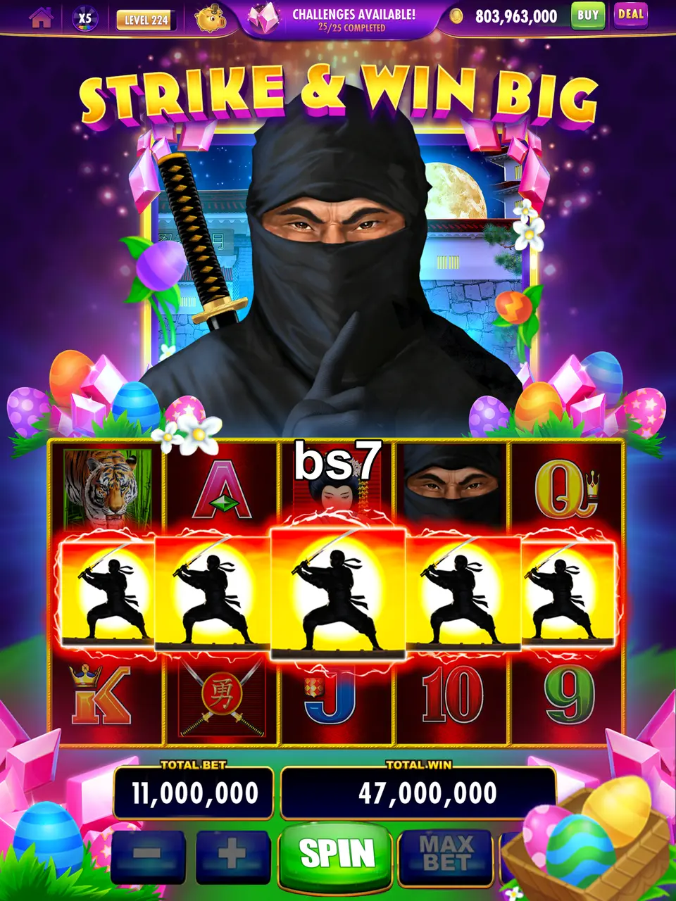 bs7 Login